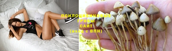 MDMA Premium VHQ Алзамай